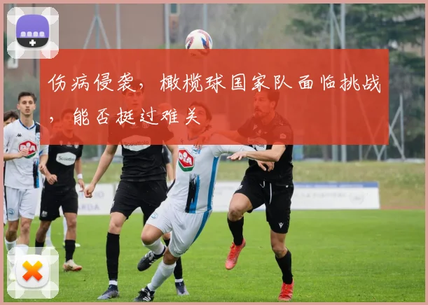 伤病侵袭,橄榄球国家队面临挑战,能否挺过难关