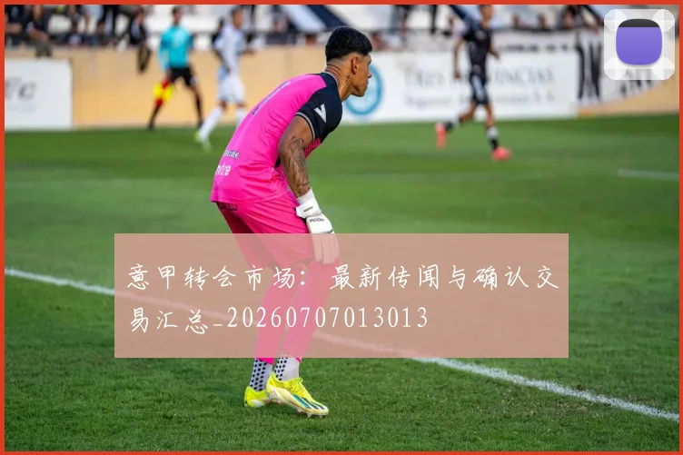 意甲转会市场:最新传闻与确认交易汇总_20260707013013